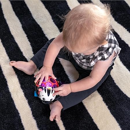 Curious Car Zen Oball Toy Car & Rattle